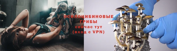 твердый Бугульма