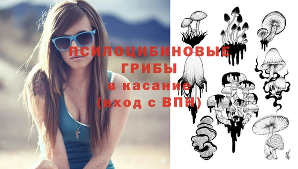 спиды Бронницы