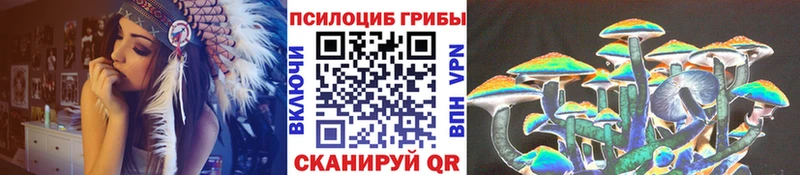 Псилоцибиновые грибы Magic Shrooms  мега зеркало  Волжск  что такое наркотик 